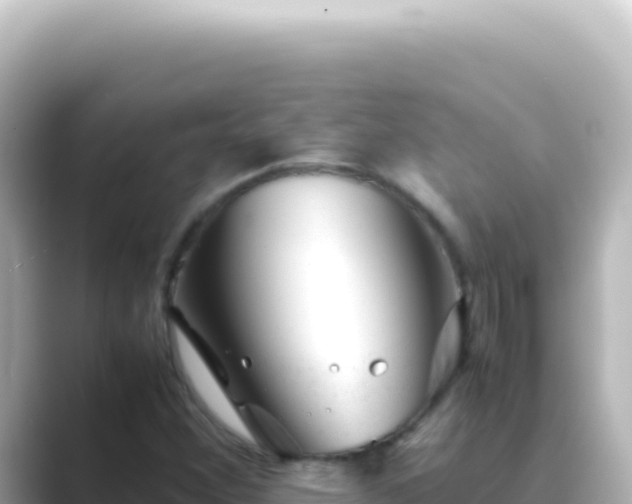 X0000089451356200706221240