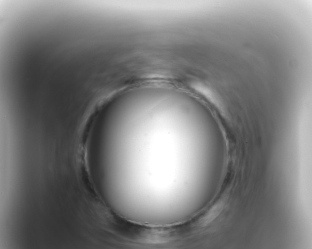 X0000089451357200706221240