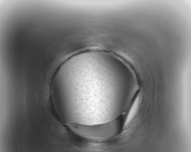 X0000089451359200706221239