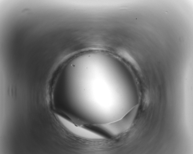 X0000089451360200706221239