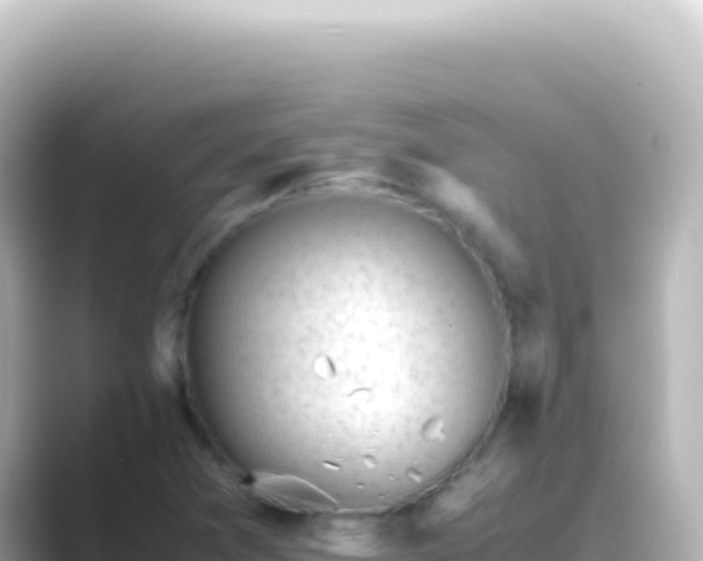 X0000089451361200706221239