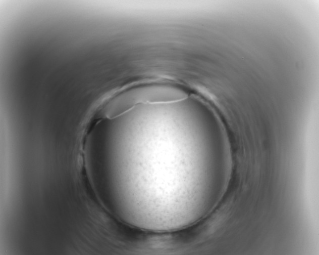 X0000089451363200706221239