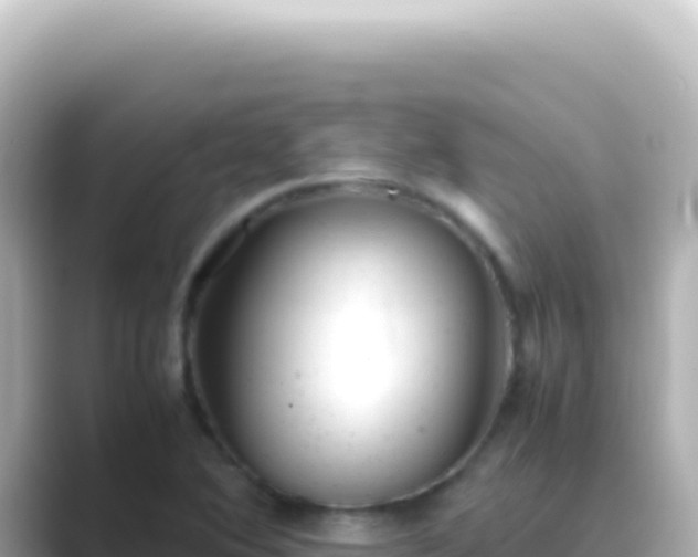 X0000089451364200706221239