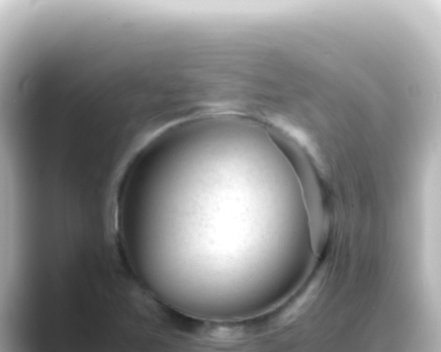 X0000089451365200706221239