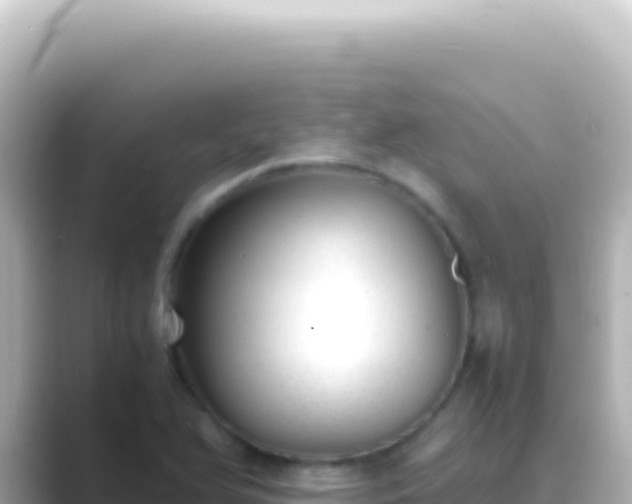 X0000089451366200706221239