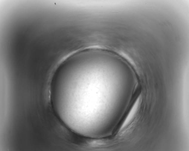 X0000089451367200706221239
