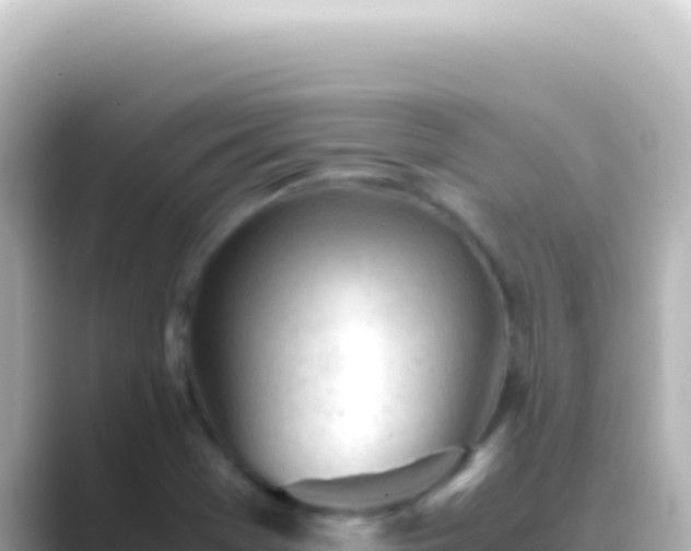X0000089451369200706221239