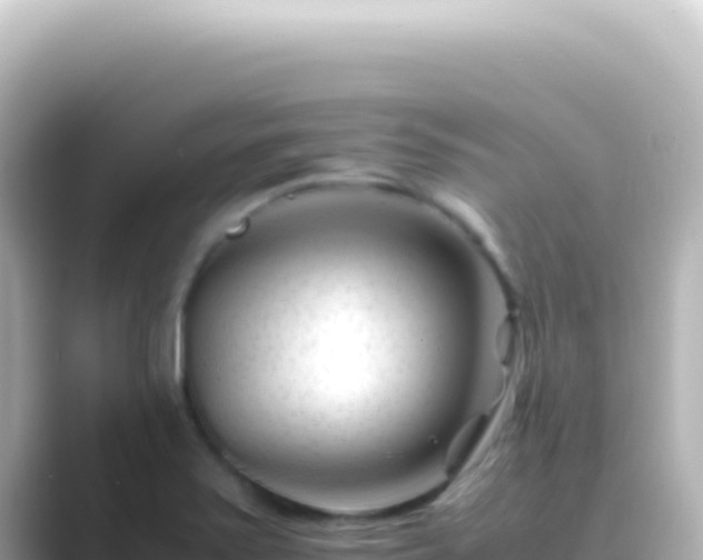 X0000089451371200706221239