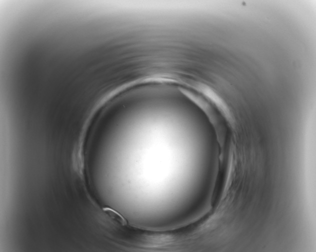 X0000089451372200706221239