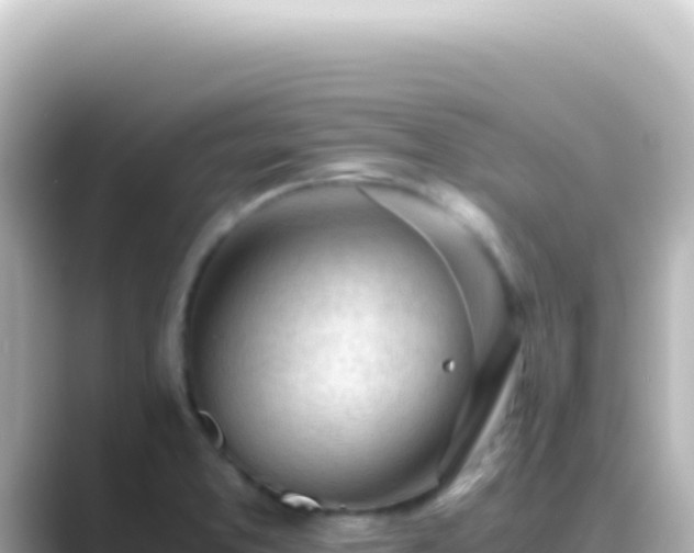 X0000089451373200706221239