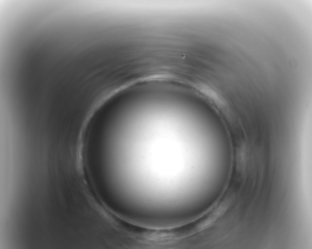 X0000089451374200706221239
