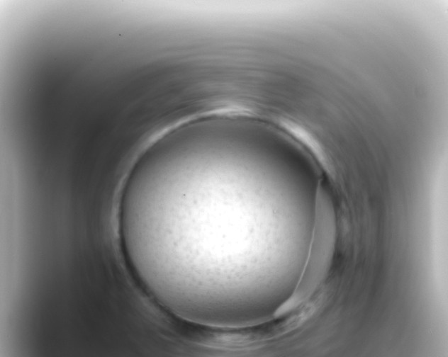 X0000089451375200706221239