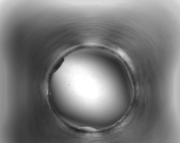 X0000089451376200706221239