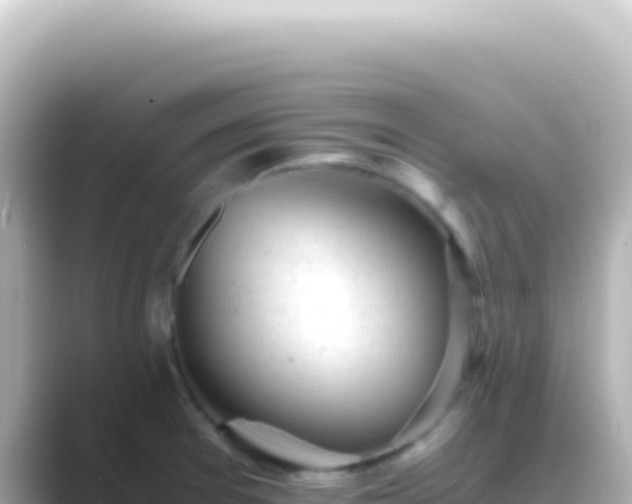 X0000089451377200706221239