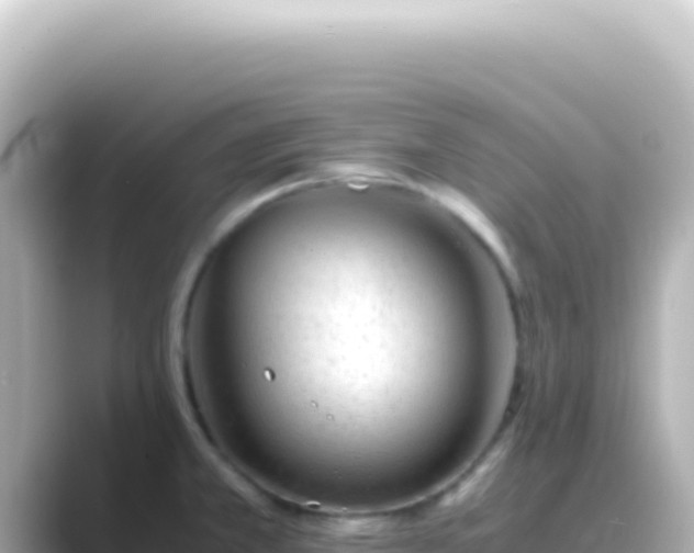 X0000089451381200706221239