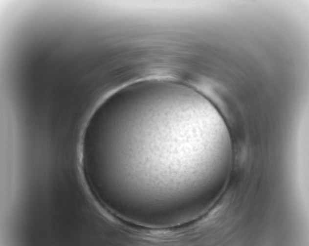 X0000089451383200706221239