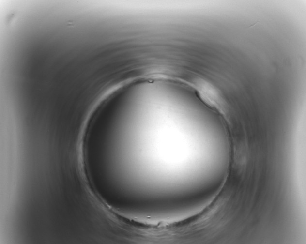 X0000089451384200706221239