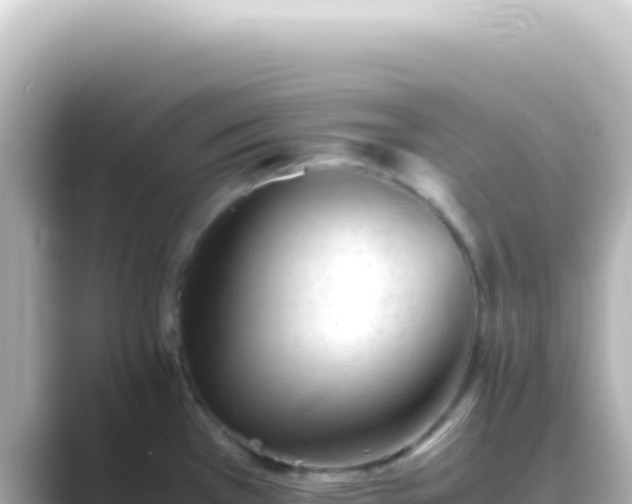 X0000089451385200706221239