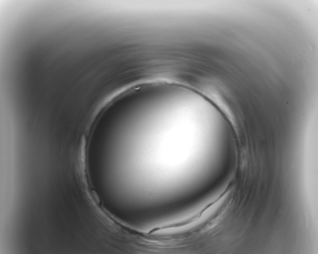 X0000089451388200706221239