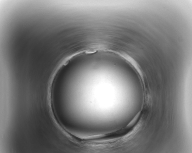 X0000089451389200706221239