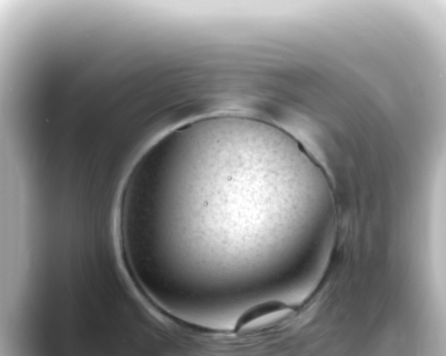 X0000089451391200706221239