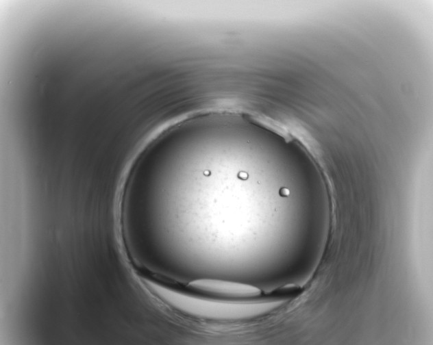 X0000089451392200706221239