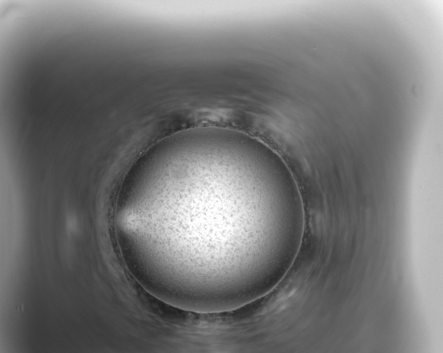 X0000089451393200706221239