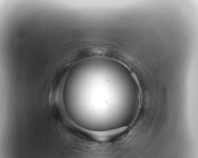 X0000089451394200706221239