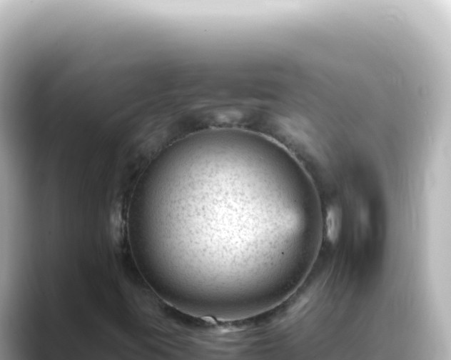 X0000089451395200706221239