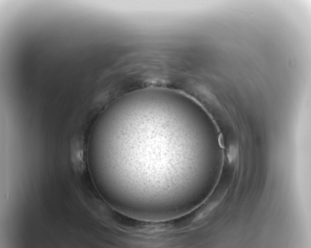 X0000089451396200706221239