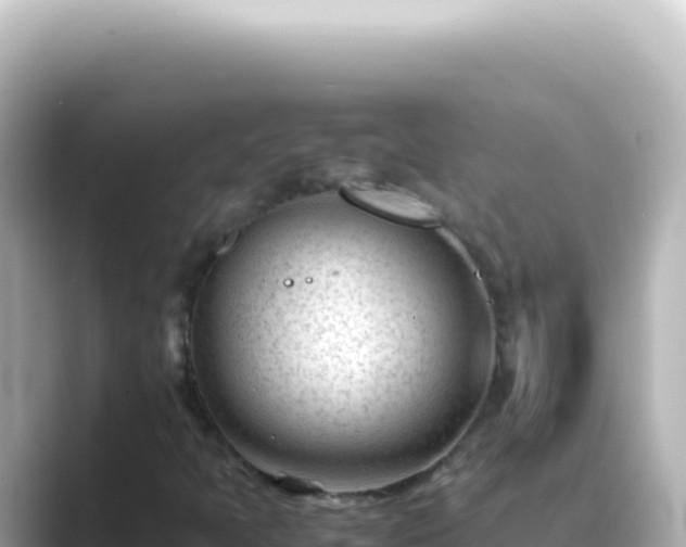 X0000089451397200706221239