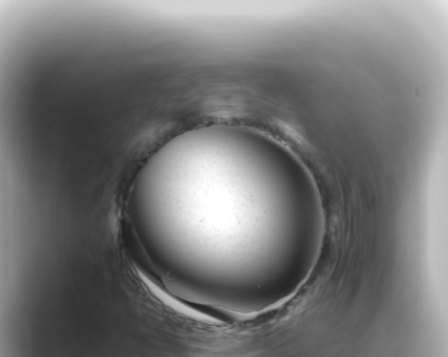 X0000089451398200706221239