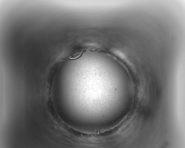 X0000089451399200706221239