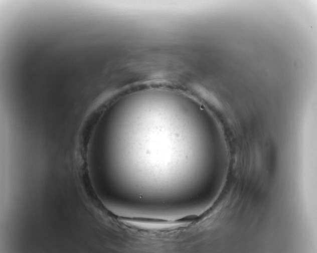 X0000089451400200706221239