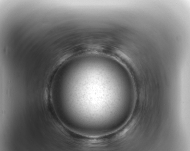 X0000089451401200706221239