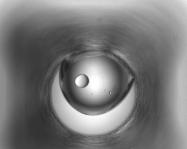 X0000089451402200706221239