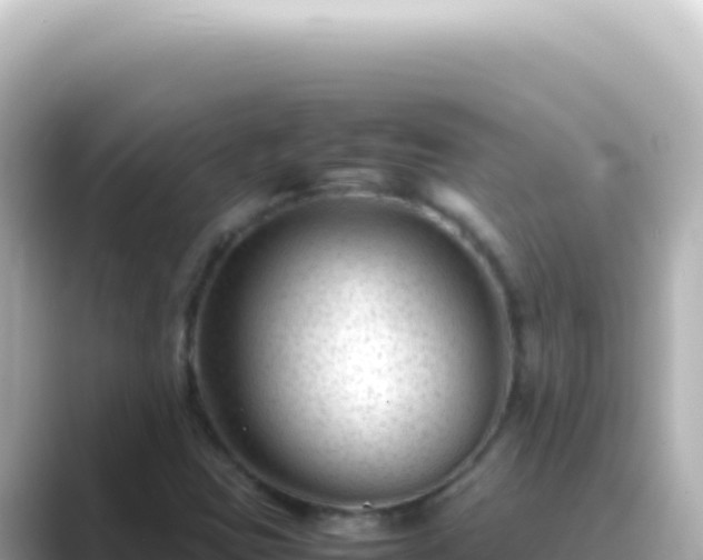 X0000089451403200706221239