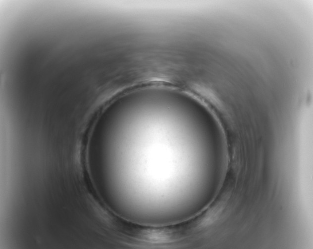 X0000089451404200706221239