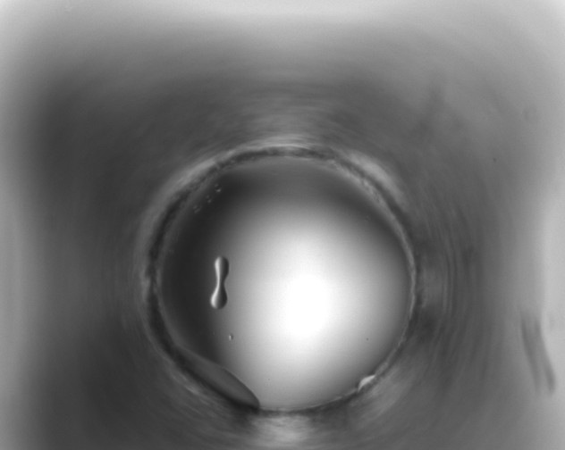 X0000089451406200706221239