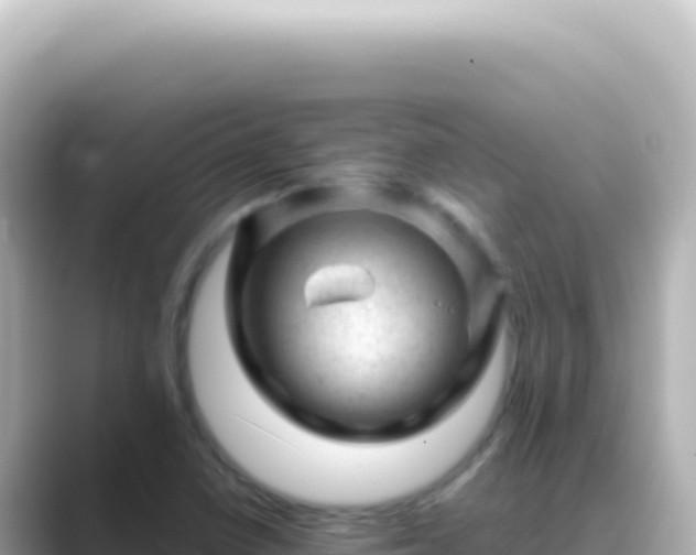 X0000089451410200706221239