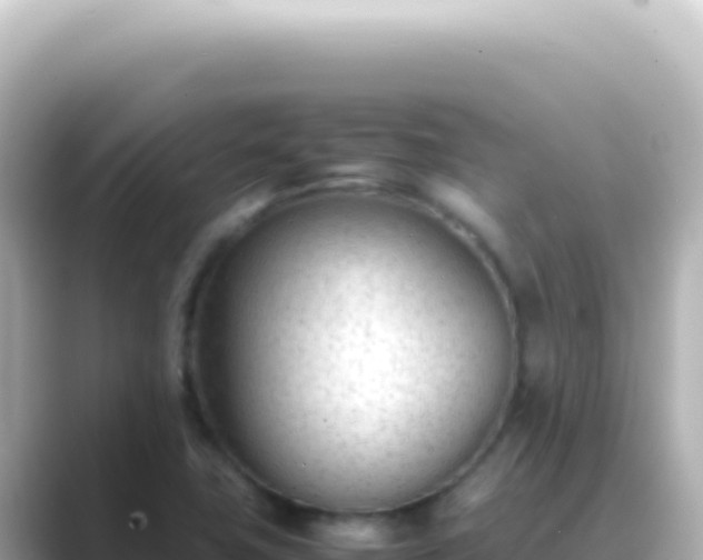 X0000089451411200706221239