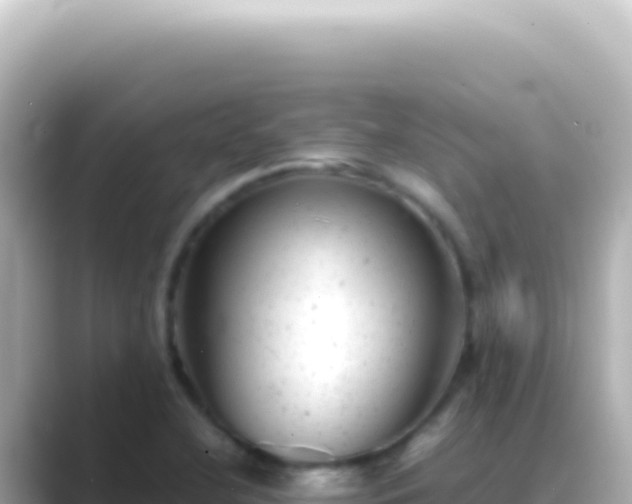 X0000089451412200706221239
