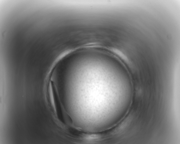 X0000089451413200706221239