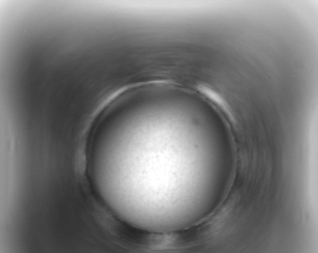 X0000089451415200706221239