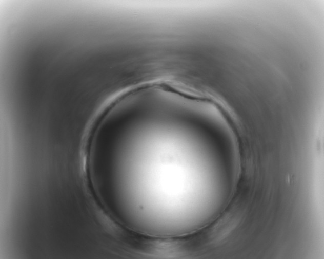 X0000089451416200706221239