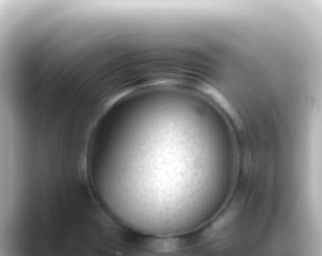 X0000089451417200706221239