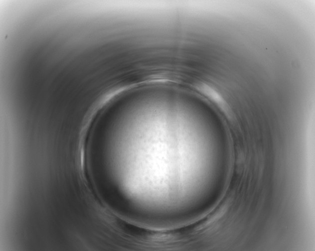 X0000089451419200706221239