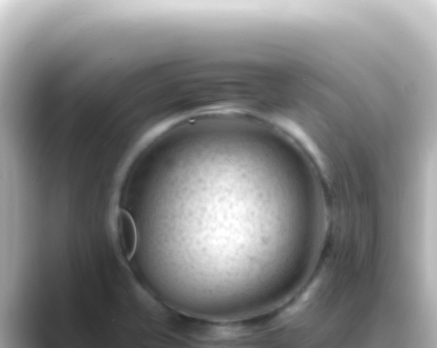 X0000089451421200706221239