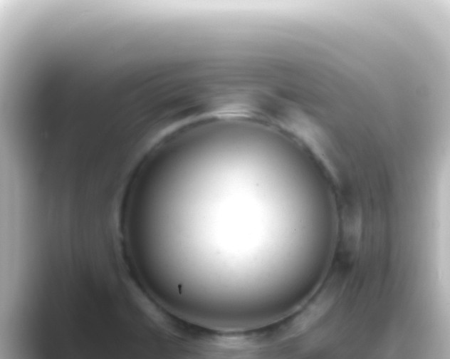 X0000089451422200706221239