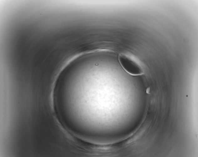 X0000089451423200706221239